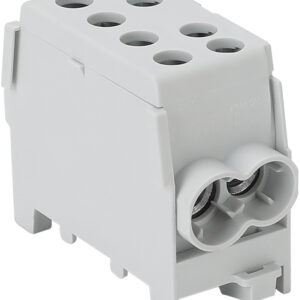 01 20073 flecu 35 25 2.jpg