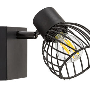 01 45720 raba 73001.jpg