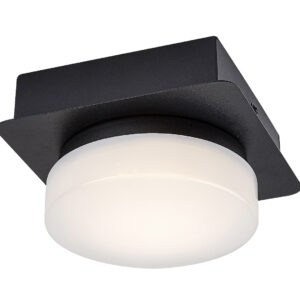 01 45720 raba 75001.jpg