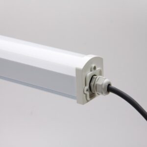 02 2138 hl0014897.jpg